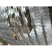 Concertina Wire